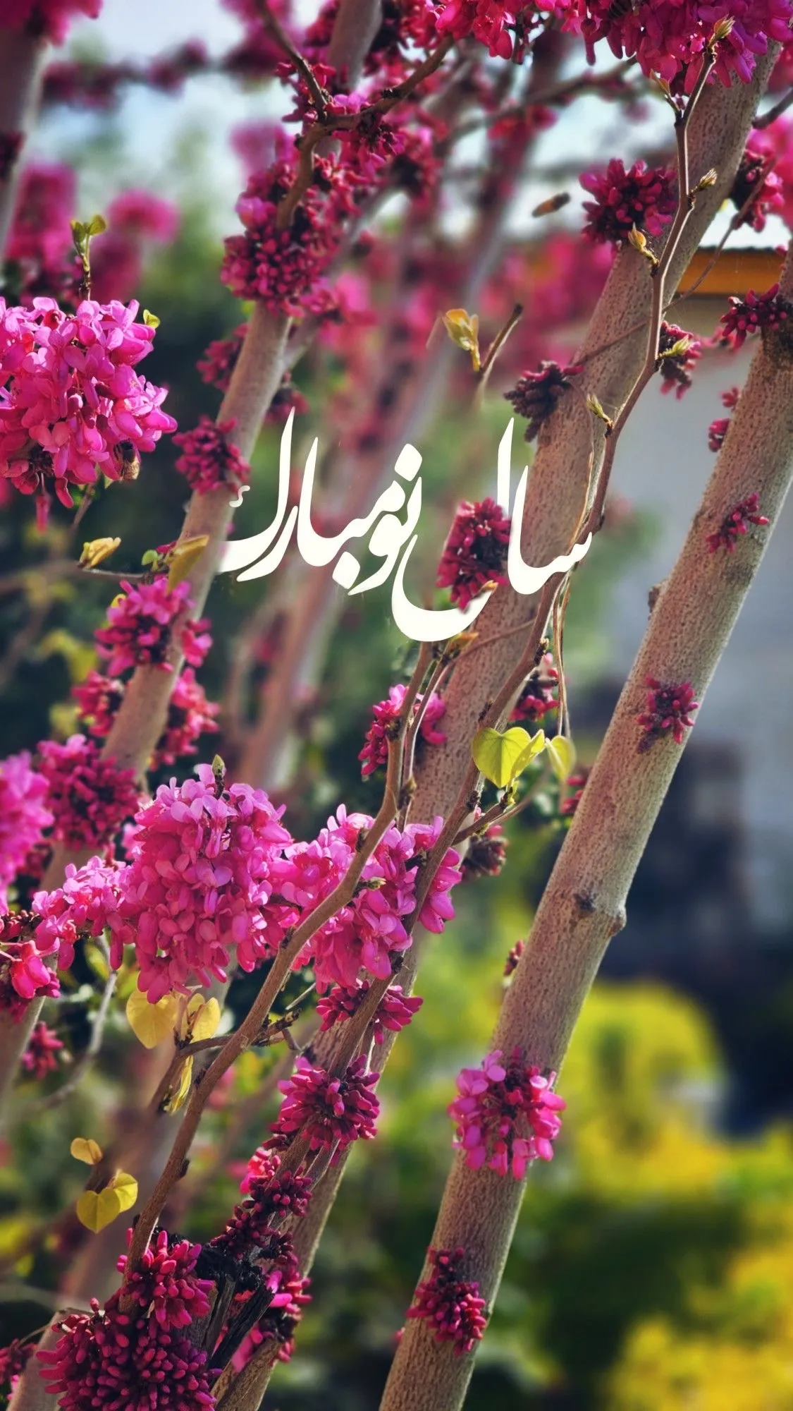 سال نو مبارک