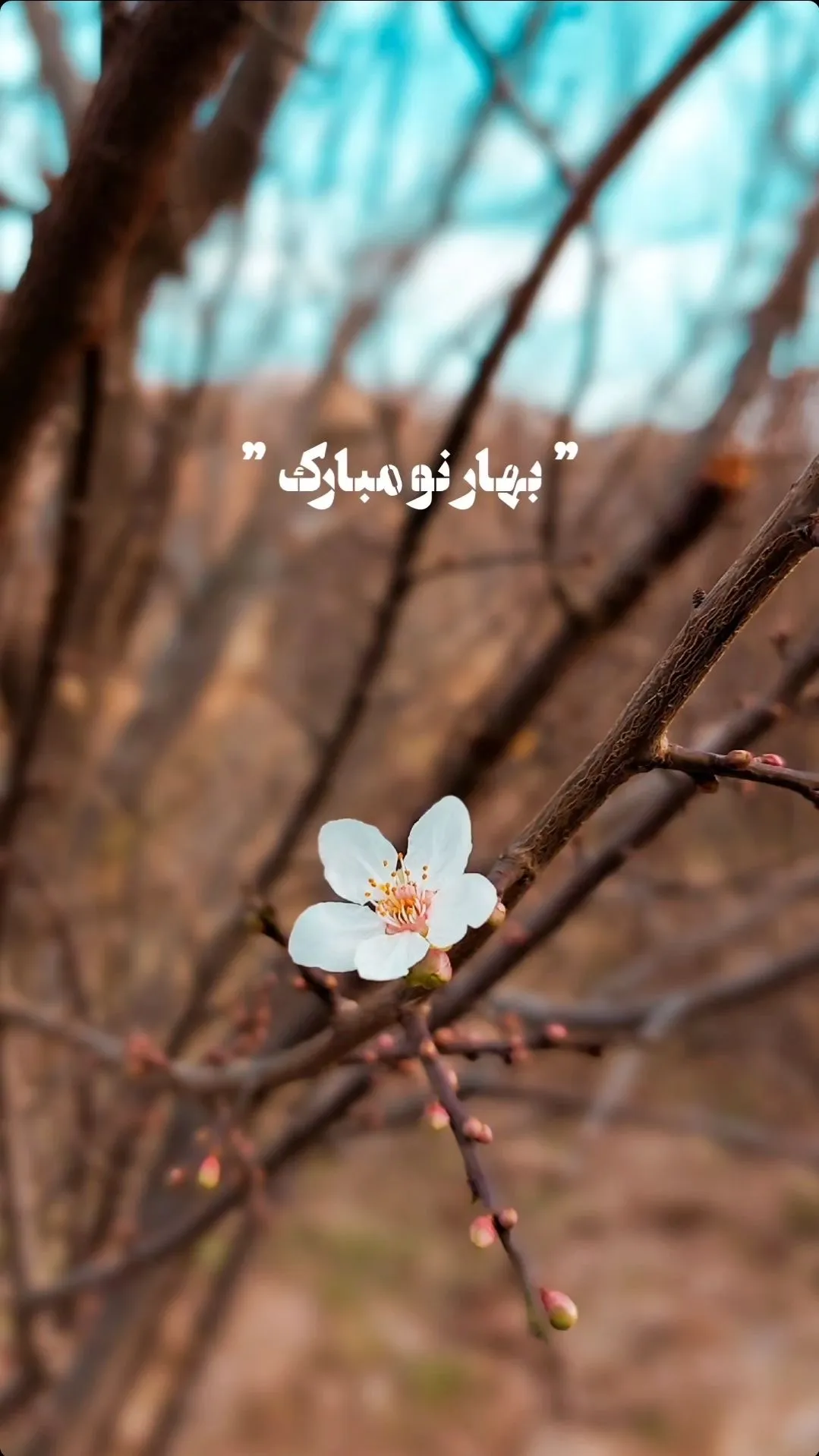 سال نو مبارک